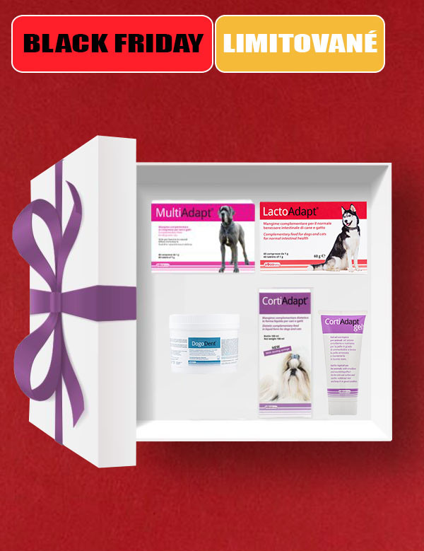 1763568433BF Box coat.jpg